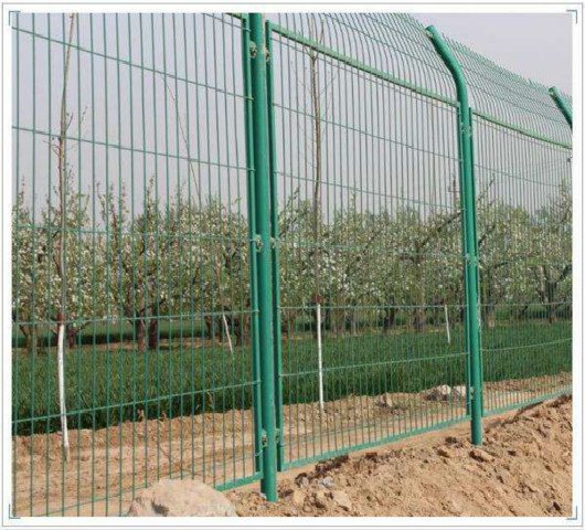 羅田果園種植圍欄