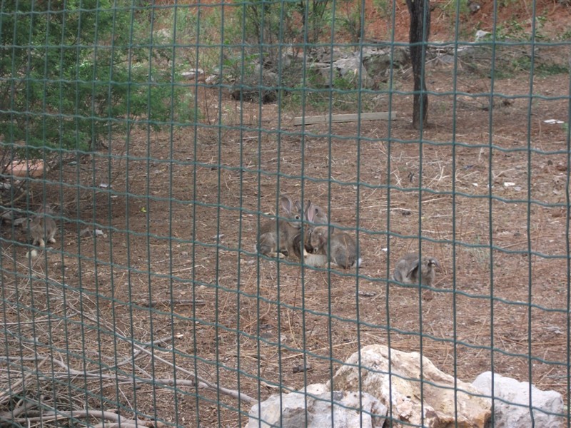 1535531035368759.jpg 1535531035368759.jpg