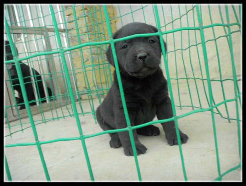 1535531688721995.jpg 1535531688721995.jpg