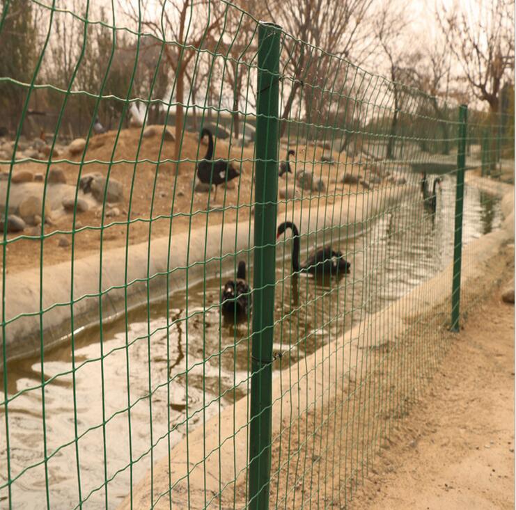 1536139676855864.jpg 1536139676855864.jpg