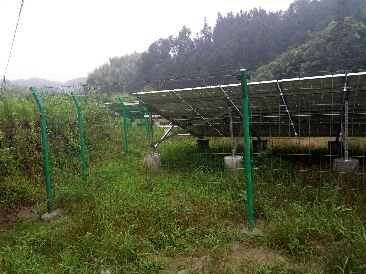 1536199166678772.jpg 1536199166678772.jpg